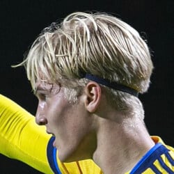 Lucas Bergvall